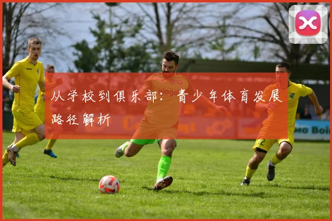 从学校到俱乐部：青少年体育发展路径解析