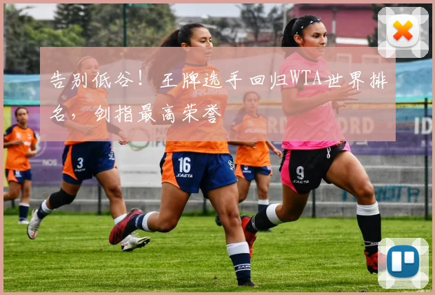 告别低谷！王牌选手回归WTA世界排名，剑指最高荣誉