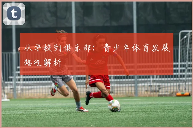 从学校到俱乐部：青少年体育发展路径解析